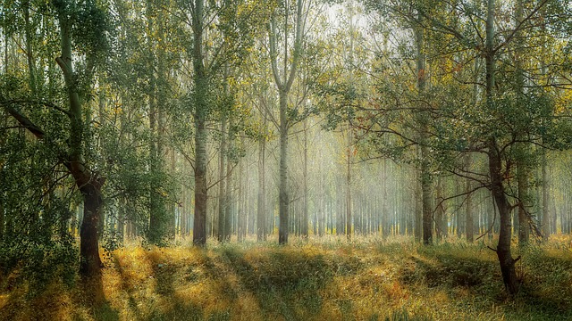 Tegen de natuur in